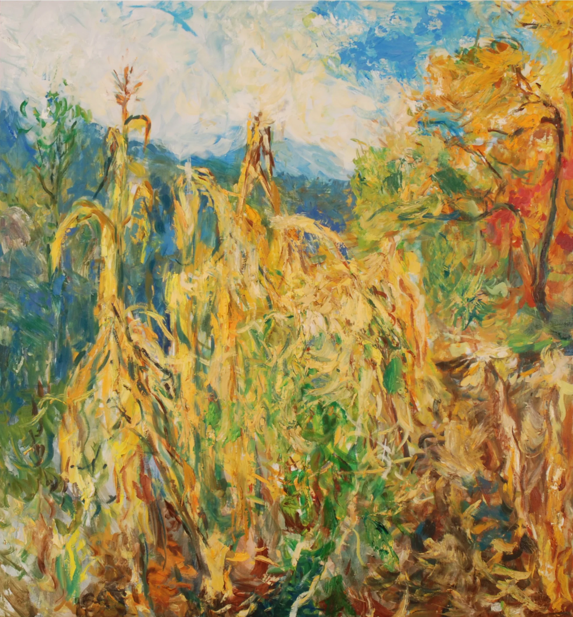 Sweetcorn and Haricot Tarbais in the Potager, 2014, 132 x 122cm